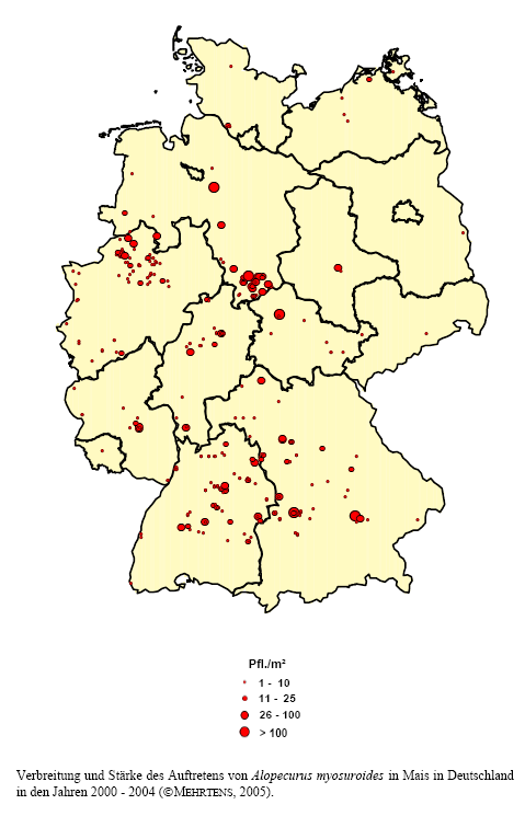 Verbreitung und Stärke des Auftretens von Acker-Fuchsschwanz in Mais in Deutschland in den Jahren 2000 - 2004