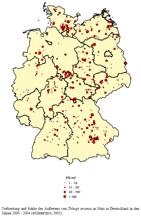 Verbreitung und Stärke des Auftretens von Acker-Hellerkraut in Mais in Deutschland in den Jahren 2000 - 2004