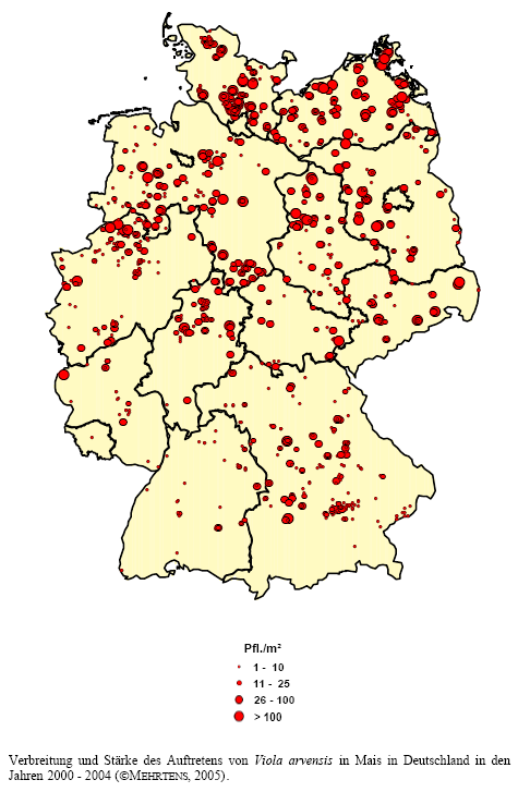 Verbreitung und Stärke des Auftretens von Acker-Stiefmütterchen in Mais in Deutschland in den Jahren 2000 - 2004