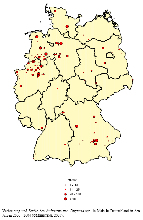 Verbreitung und Stärke des Auftretens von Fingerhirse-Arten in Mais in Deutschland in den Jahren 2000 - 2004