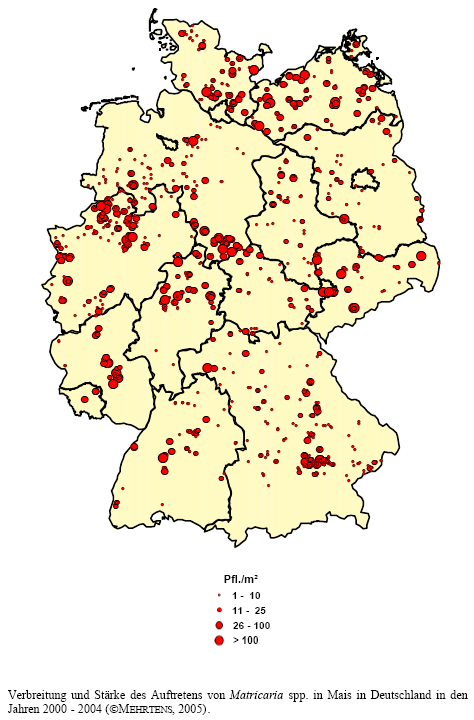 Verbreitung und Stärke des Auftretens von Kamille-Arten in Mais in Deutschland in den Jahren 2000 - 2004