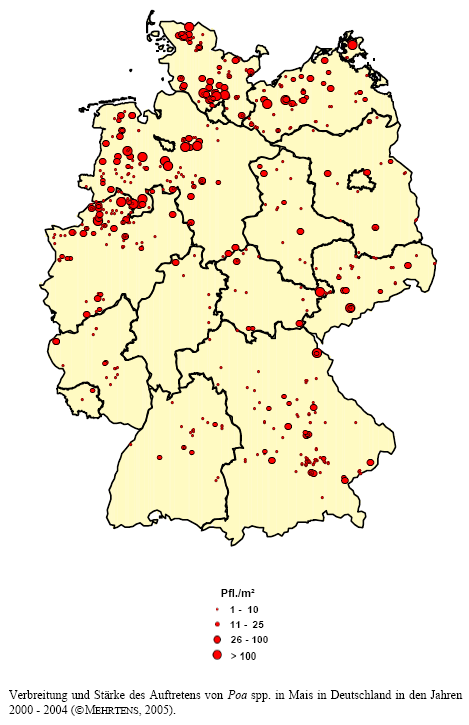 Verbreitung und Stärke des Auftretens von Rispengras-Arten in Mais in Deutschland in den Jahren 2000 - 2004