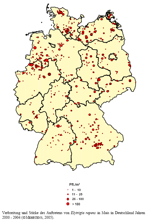 Verbreitung und Stärke des Auftretens von Gemeiner Quecke in Mais in Deutschland in den Jahren 2000 - 2004