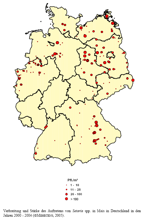 Verbreitung und Stärke des Auftretens von Borstenhirse-Arten in Mais in Deutschland in den Jahren 2000 - 2004