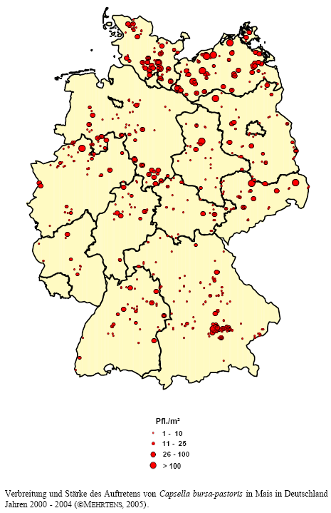 Verbreitung und Stärke des Auftretens von Hirtentäschelkraut in Mais in Deutschland in den Jahren 2000 - 2004