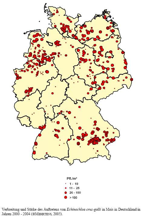 Verbreitung und Stärke des Auftretens von Hühnerhirse in Mais in Deutschland in den Jahren 2000 - 2004
