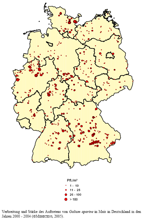 Verbreitung und Stärke des Auftretens von Kletten-Labkraut in Mais in Deutschland in den Jahren 2000 - 2004