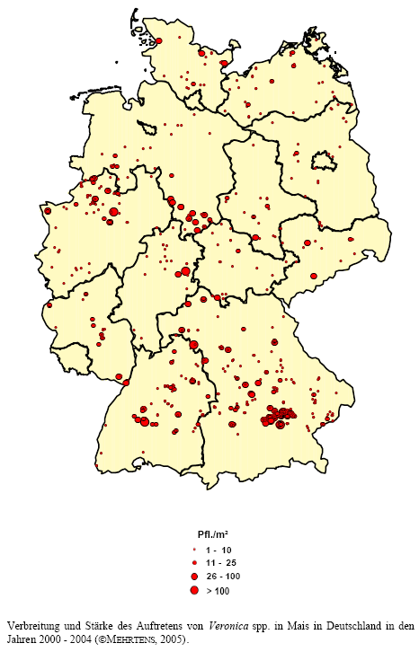 Verbreitung und Stärke des Auftretens von Ehrenpreis-Arten in Mais in Deutschland in den Jahren 2000 - 2004