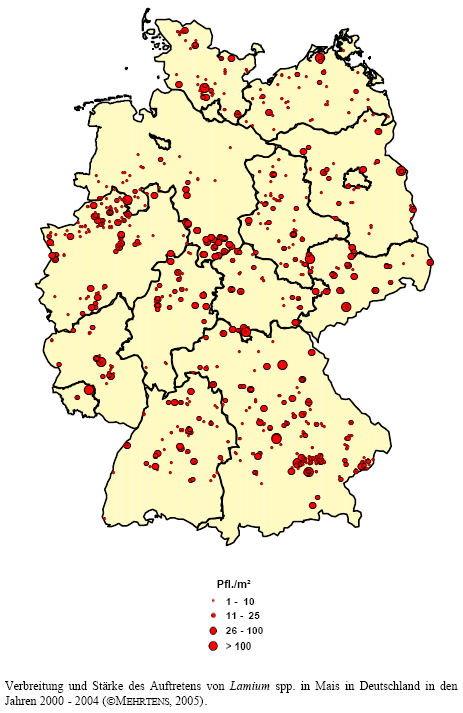 Verbreitung und Stärke des Auftretens von Taubnessel-Arten in Mais in Deutschland in den Jahren 2000 - 2004