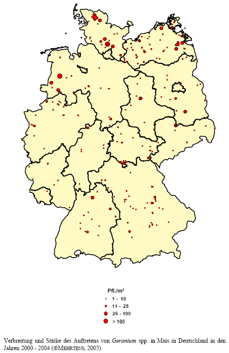 Verbreitung und Stärke des Auftretens von Storchschnabel-Arten in Mais in Deutschland in den Jahren 2000 - 2004