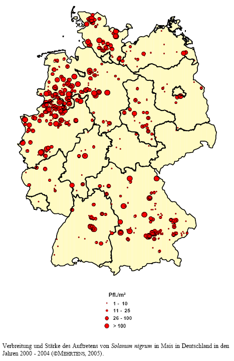 Verbreitung und Stärke des Auftretens von Schwarzem Nachtschatten in Mais in Deutschland in den Jahren 2000 - 2004