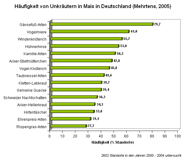 Die häufigsten Unkräuter in Mais in Deutschland