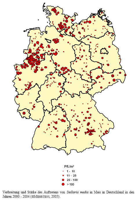 Verbreitung und Stärke des Auftretens von Vogelmiere in Mais in Deutschland in den Jahren 2000 - 2004