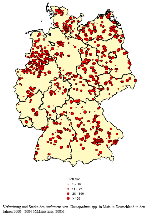 Verbreitung und Stärke des Auftretens von Gänsefuß-Arten in Mais in Deutschland in den Jahren 2000 - 2004