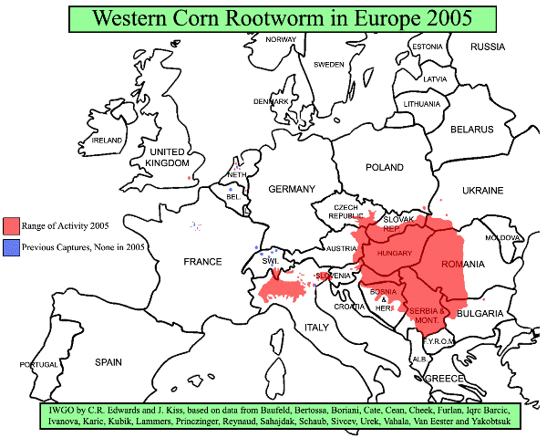 Verbreitung des Westlichen Maiswurzelbohrers in Europa 2005