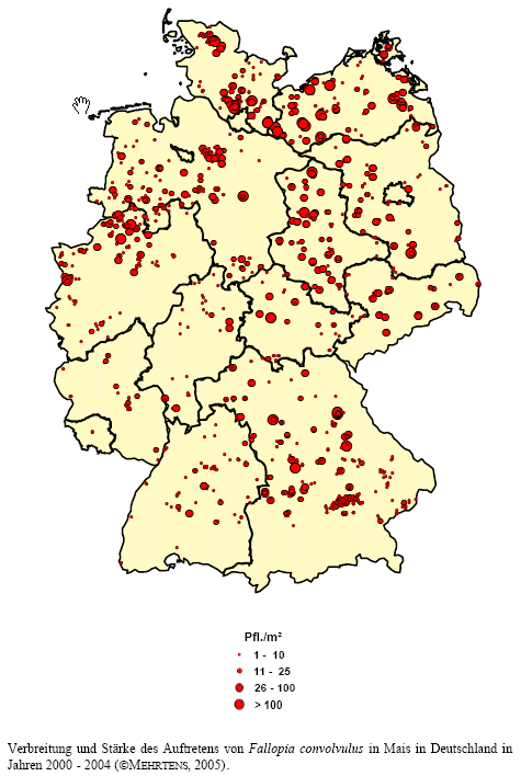 Verbreitung und Stärke des Auftretens von Windenknöterich in Mais in Deutschland in den Jahren 2000 - 2004.