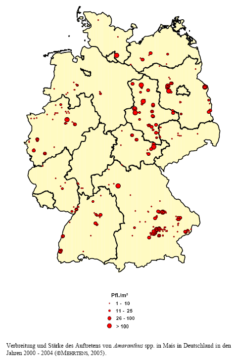 Verbreitung und Strke des Auftretens von Amarant-Arten in Mais in Deutschland in den Jahren 2000 - 2004